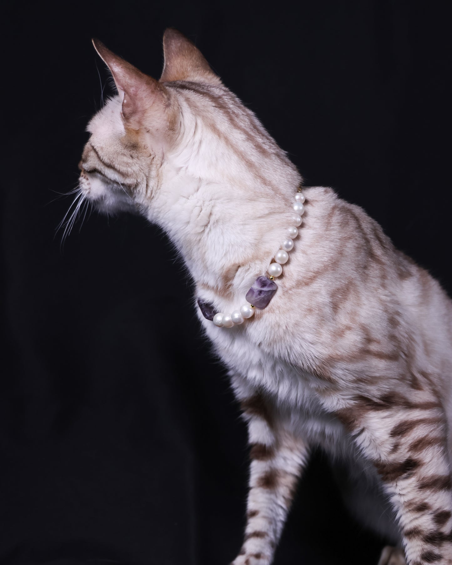 Stillness Necklace: Amethyst, Pearl