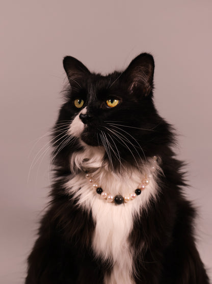 Nova - Protect Energy Necklace