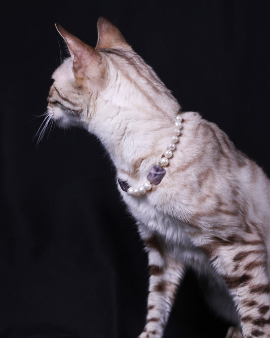 Stillness Necklace: Amethyst, Pearl